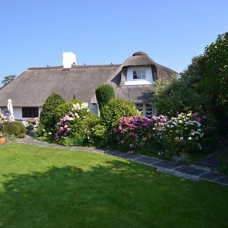 Strandnelke Westerland Exteriör bild